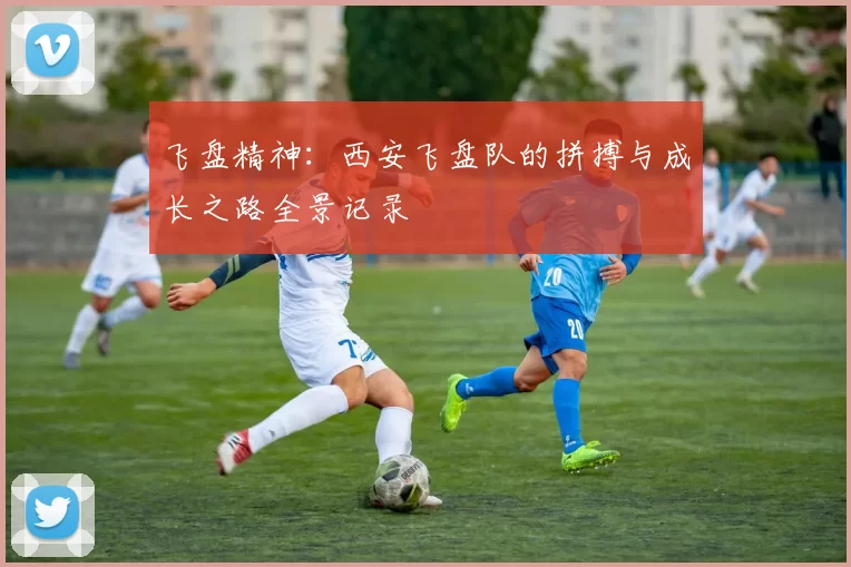 飞盘精神：西安飞盘队的拼搏与成长之路全景记录