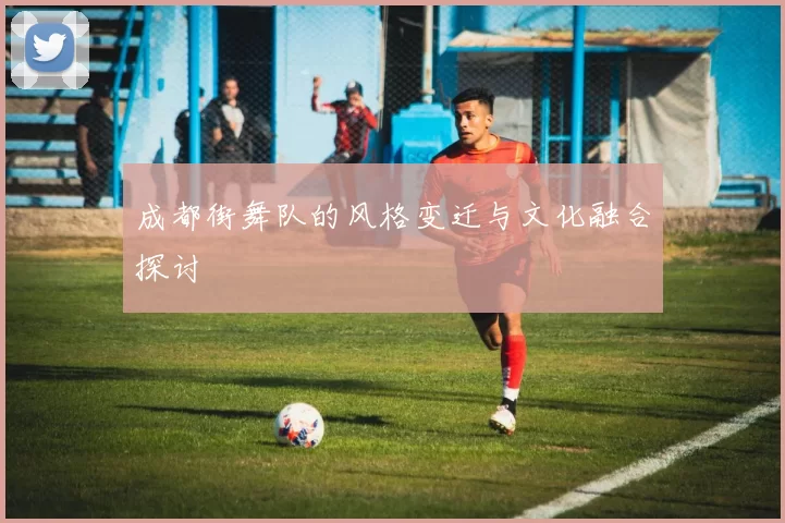 成都街舞队的风格变迁与文化融合探讨