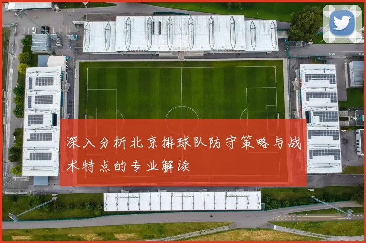 深入分析北京排球队防守策略与战术特点的专业解读