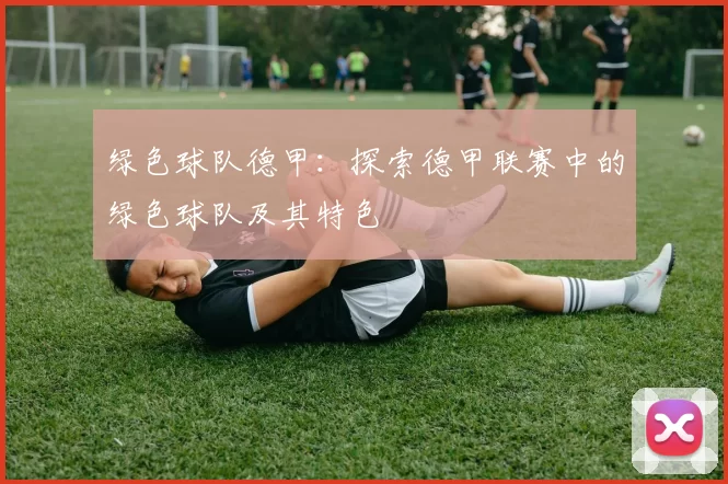 绿色球队德甲：探索德甲联赛中的绿色球队及其特色