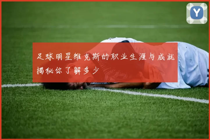 足球明星维克斯的职业生涯与成就揭秘你了解多少