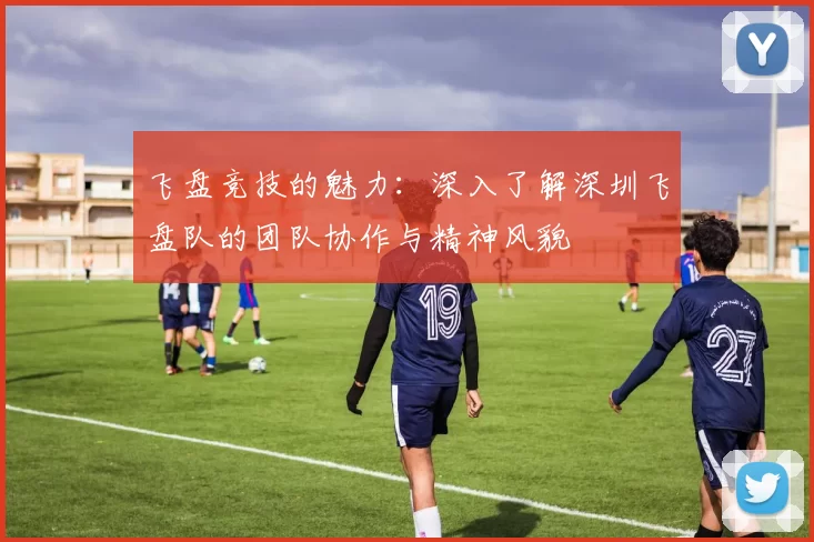 飞盘竞技的魅力：深入了解深圳飞盘队的团队协作与精神风貌