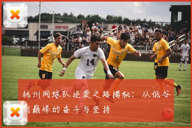 杭州网球队逆袭之路揭秘：从低谷到巅峰的奋斗与坚持