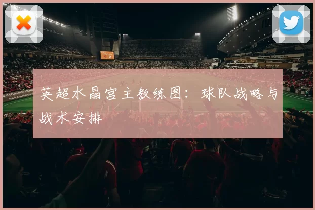 英超水晶宫主教练图：球队战略与战术安排