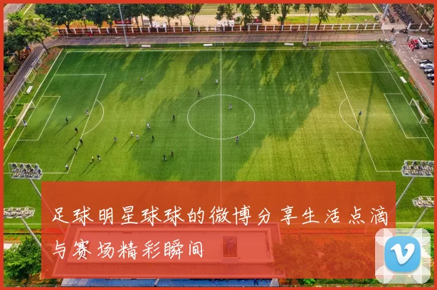 足球明星球球的微博分享生活点滴与赛场精彩瞬间